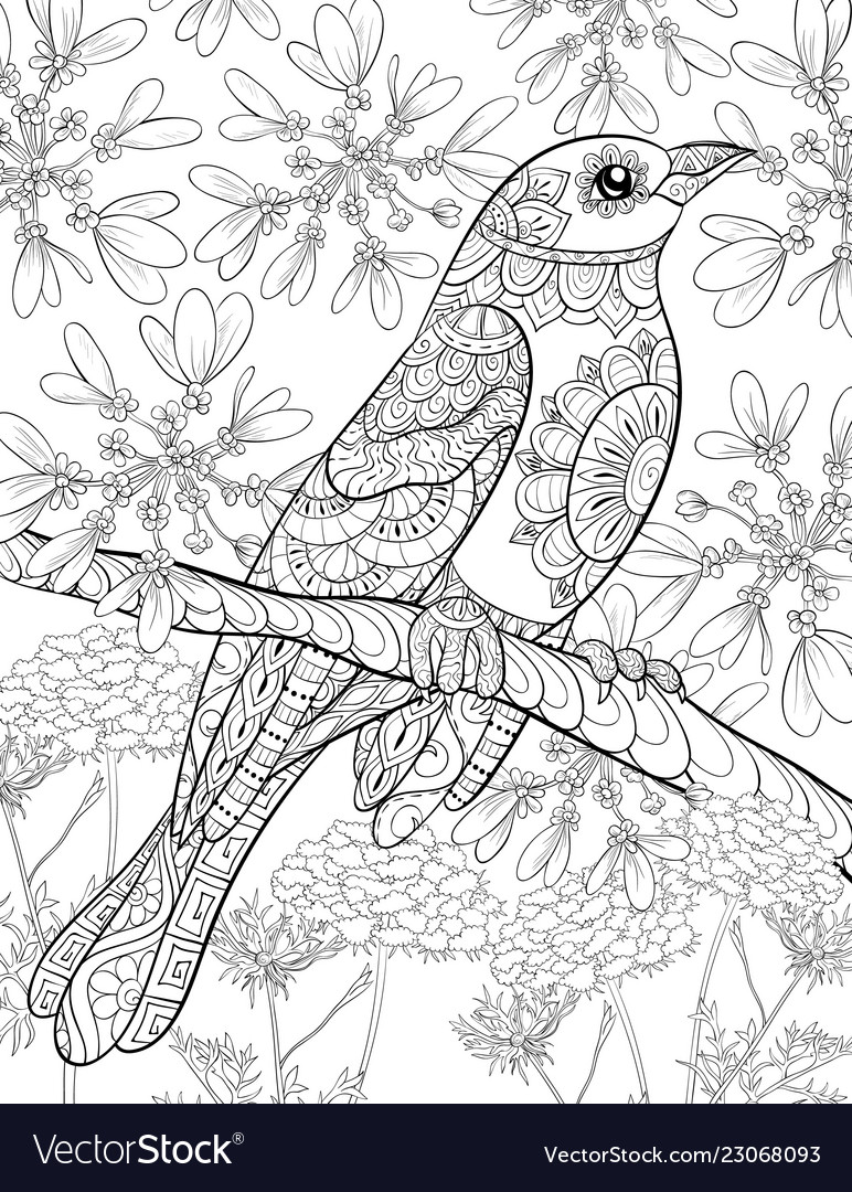 Adult coloring bookpage a cute bird royalty free vector