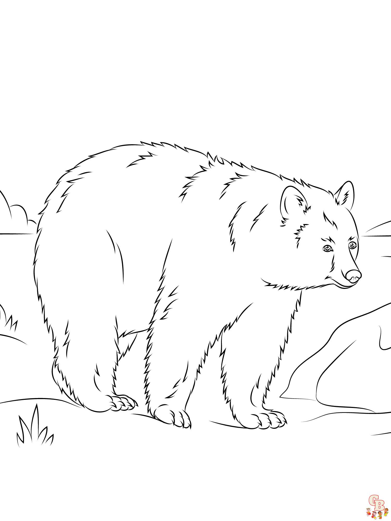 Explore the wild with free printable bear coloring pages