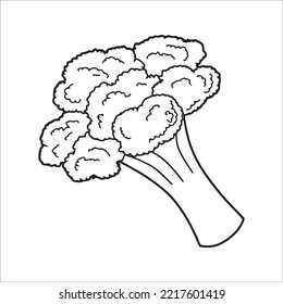 Broccoli coloring book royalty