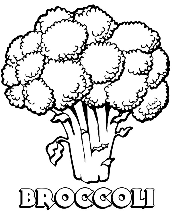 Broccoli coloring page vegetable