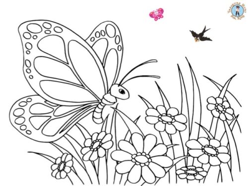 Butterfly coloring page