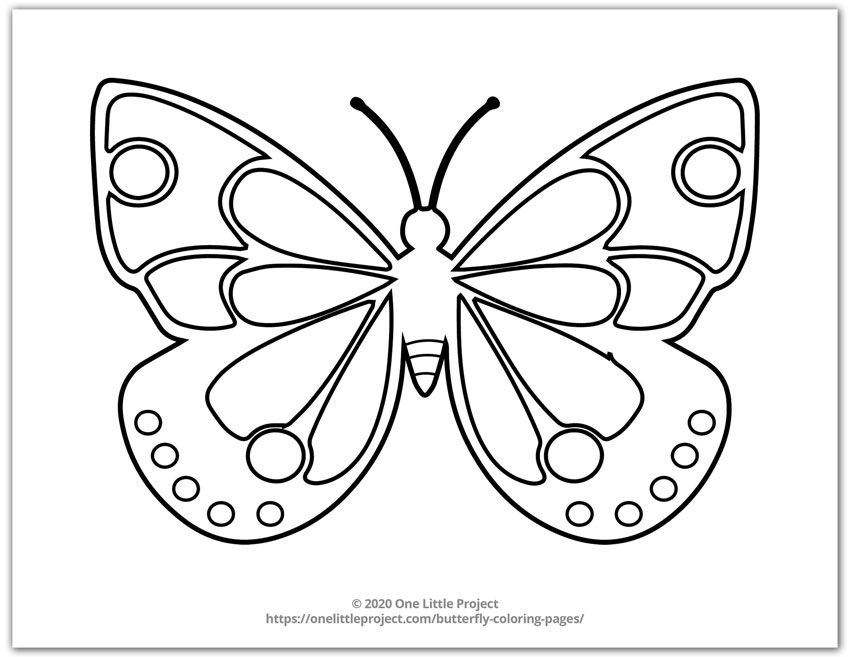 Here are free printable butterfly coloring pages that are great for both adults and kids we haveâ butterfly coloring page butterfly printable coloring pages