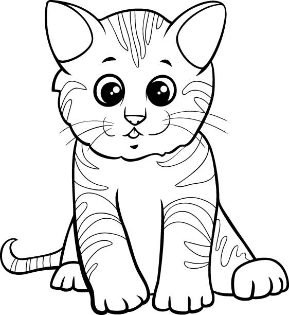 Cute kitten cartoon character coloring book page stock illustration