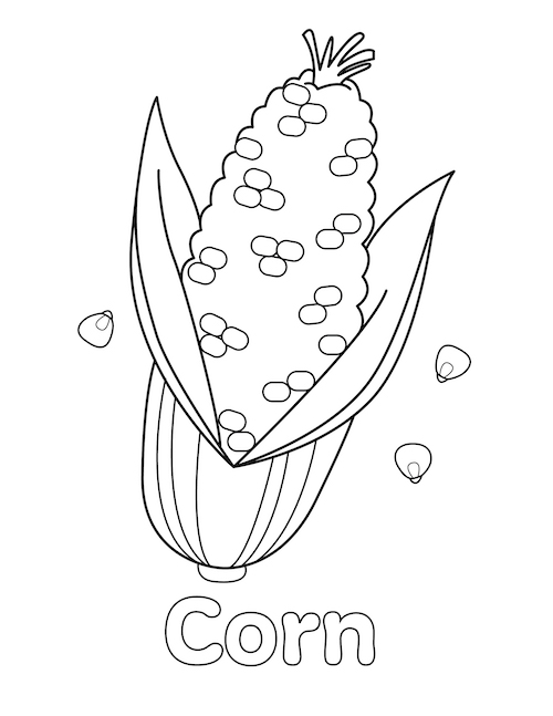 Corn coloring page