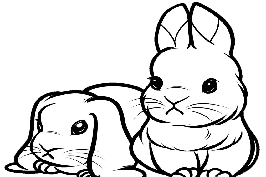 Color in a bunnies coloring page in stead of buying some pets