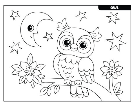 Owl coloring pages images â browse photos vectors and video