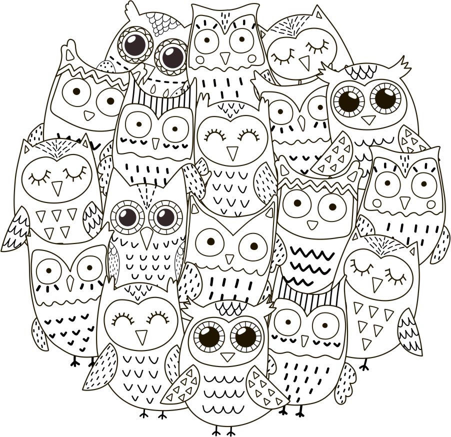 Cute owls coloring page decal â