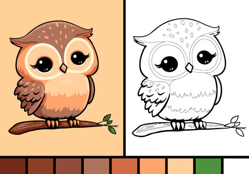 Owl coloring pages images â browse photos vectors and video