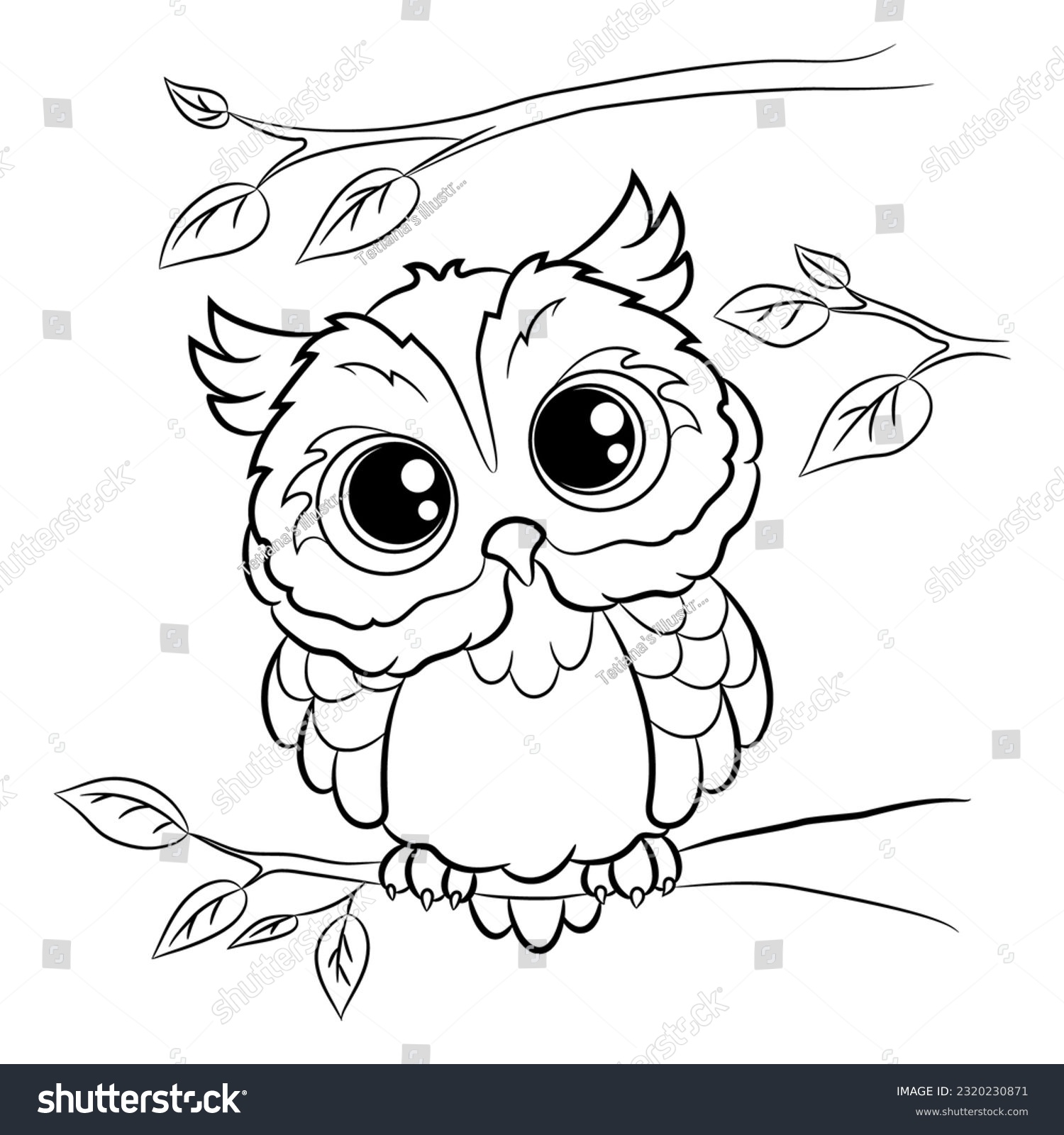 Owl coloring book images stock photos d objects vectors