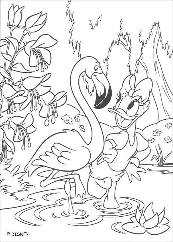 Daisy duck with a flamingo coloring pages
