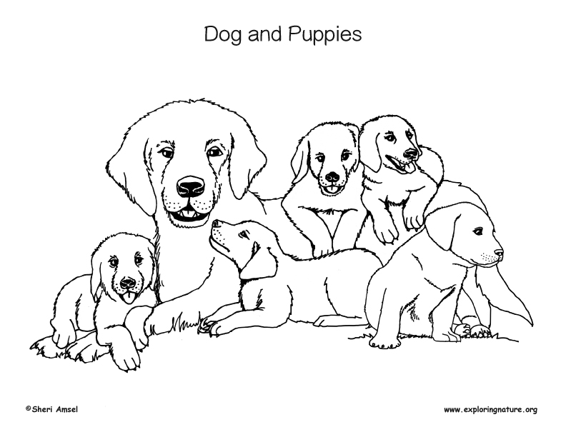 Dogs and puppies coloring page