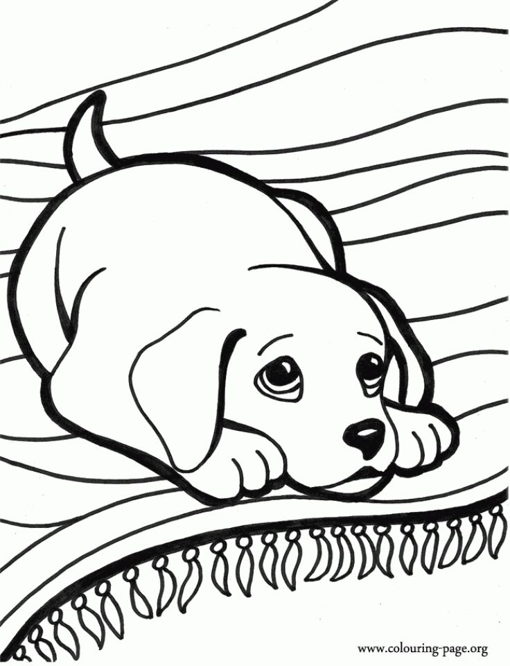 Printable puppy coloring pages for kids bvz disegni da colorare cani carini cane cartone animato