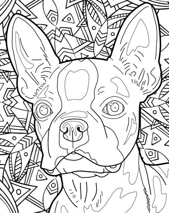 Best coloring books for dog lovers