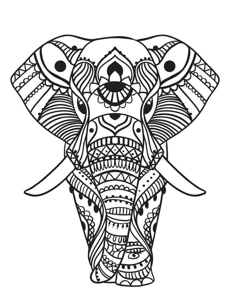 Elephant coloring pages for adults