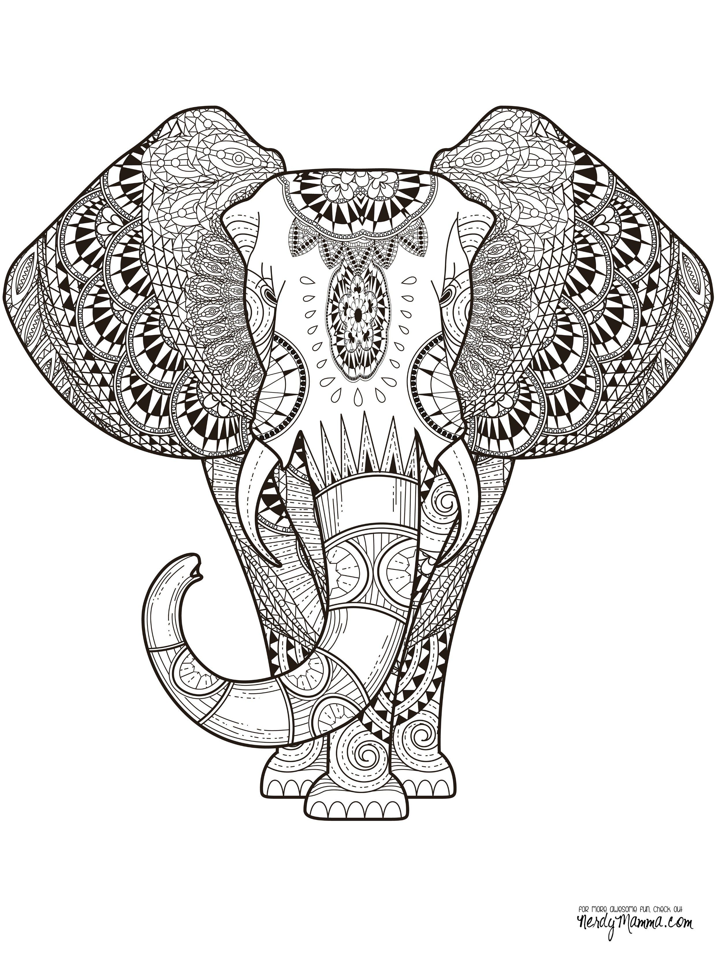 Free printable adult coloring pages elephant coloring page mandala coloring pages paisley coloring pages