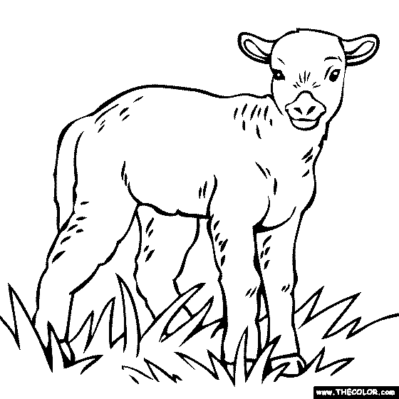 Far anials online coloring pages