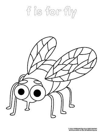 Fly coloring page