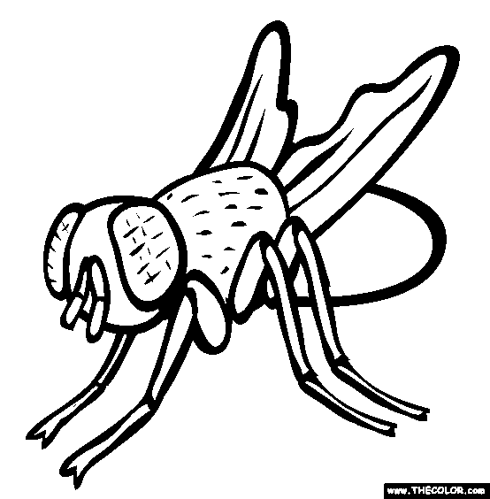 House fly coloring page free house fly online coloring animal coloring pages coloring pages insect coloring pages