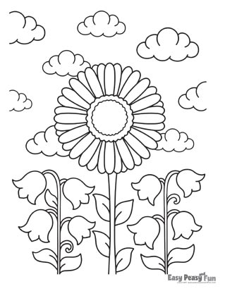 Flower coloring pages