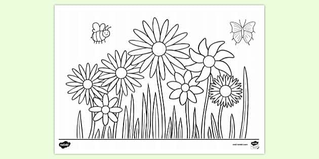 Free printable flower louring page louring sheets