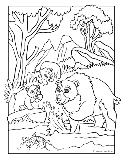 Forest animal coloring pages