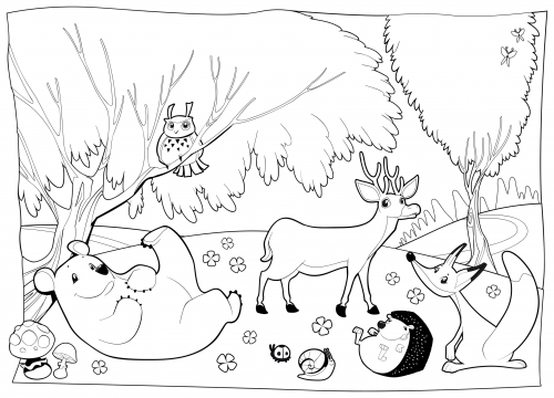 Detailed coloring page â forest creatures