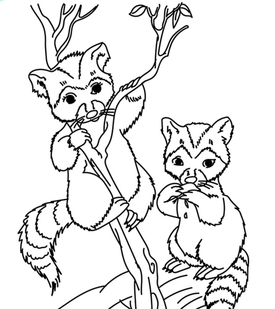 Top free printable wild animals coloring pages online