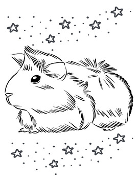 Guinea pig coloring pages for kids by solomon to teach children tpt