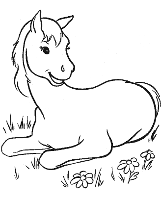 Horse coloring pages for kids