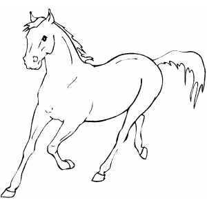 Running horse coloring page