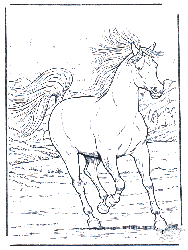 Running horse