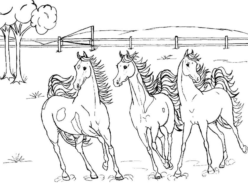 Horses coloring page