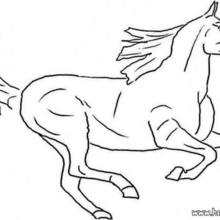 Galloping wild horse coloring pages