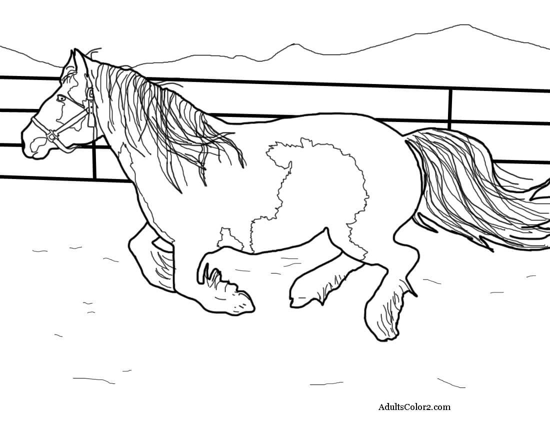 Horse coloring pages pick and print your pony