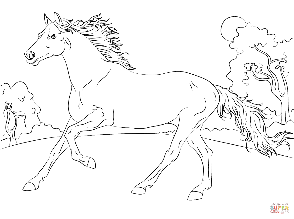 Running arabian horse coloring page free printable coloring pages