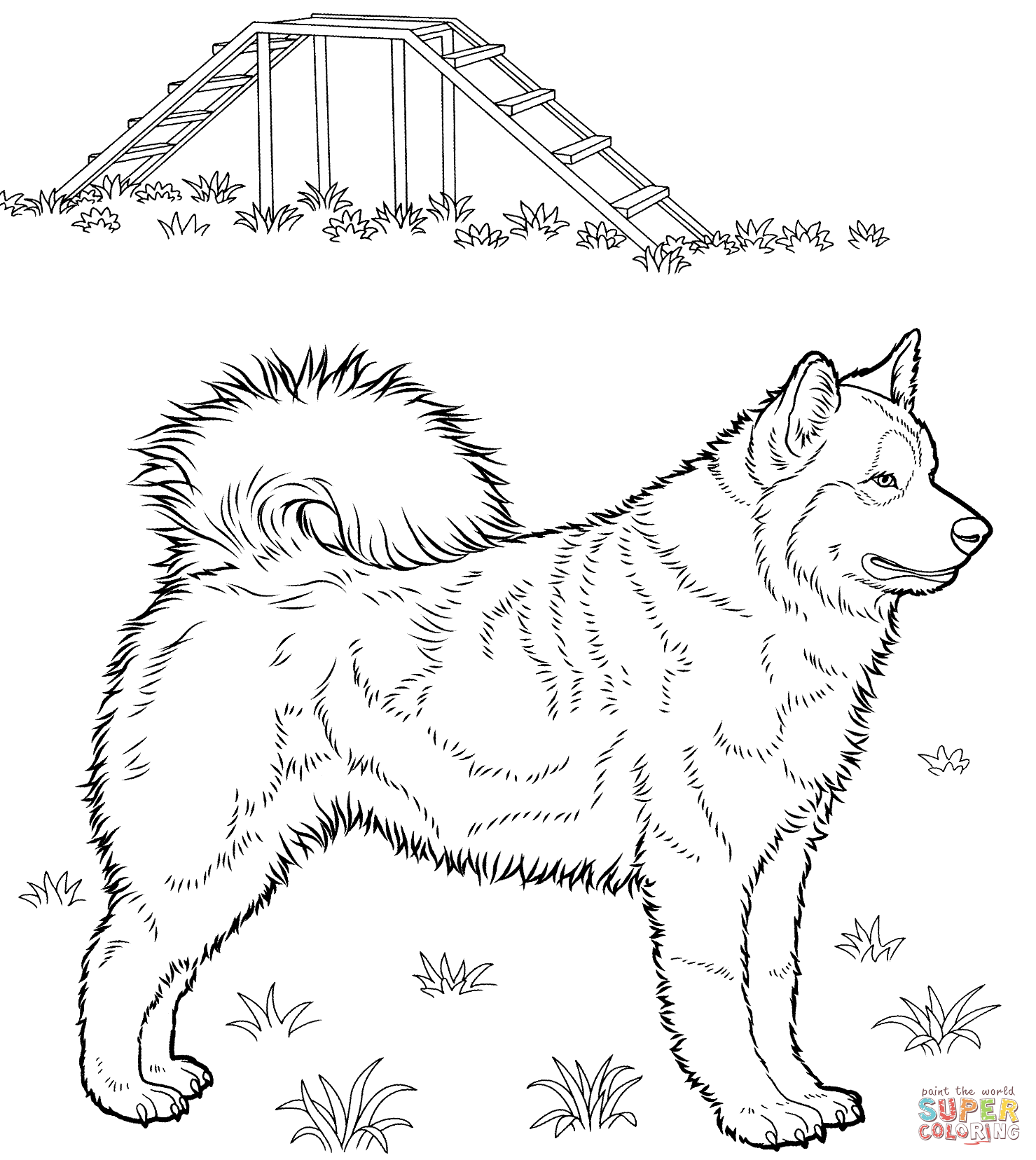 Husky coloring page free printable coloring pages