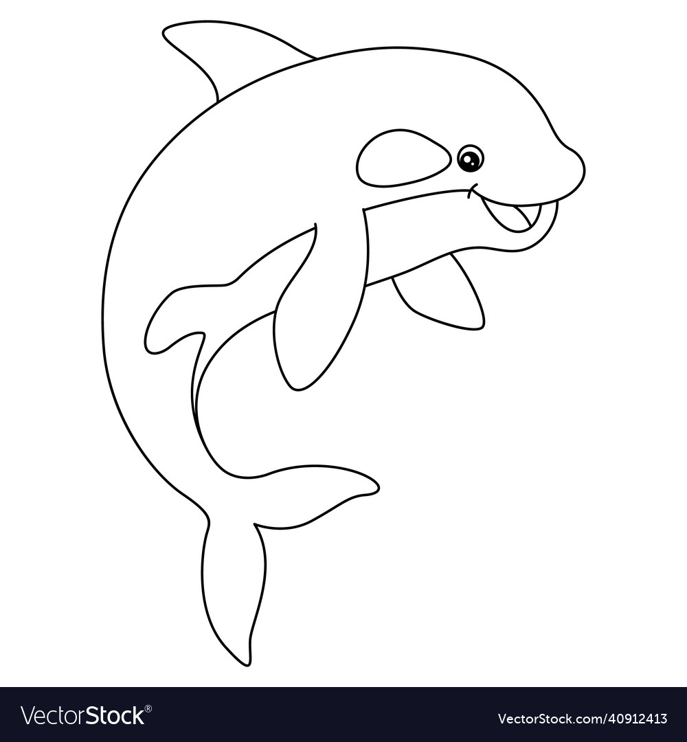 Killer whale coloring page for kids royalty free vector