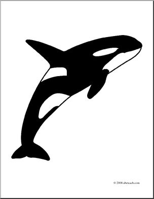 Clip art whale killer whale coloring page i