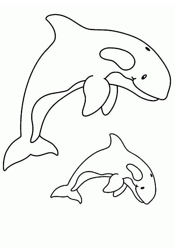 Coloring pages killer whale coloring pages