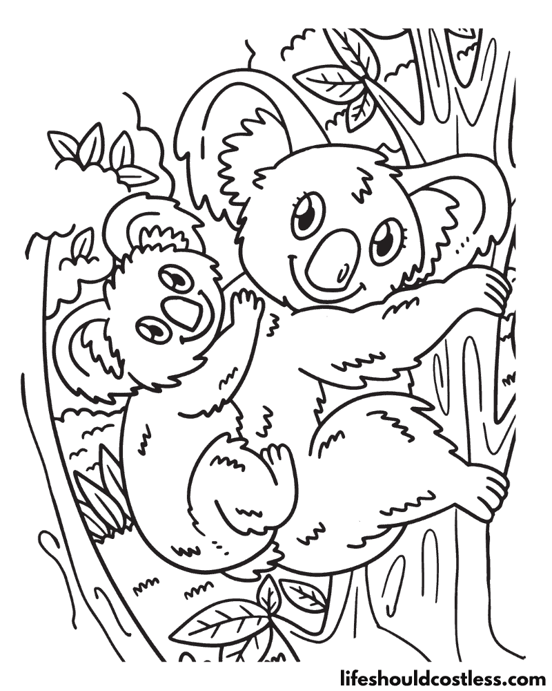 Koala coloring pages free printabe pdf templates