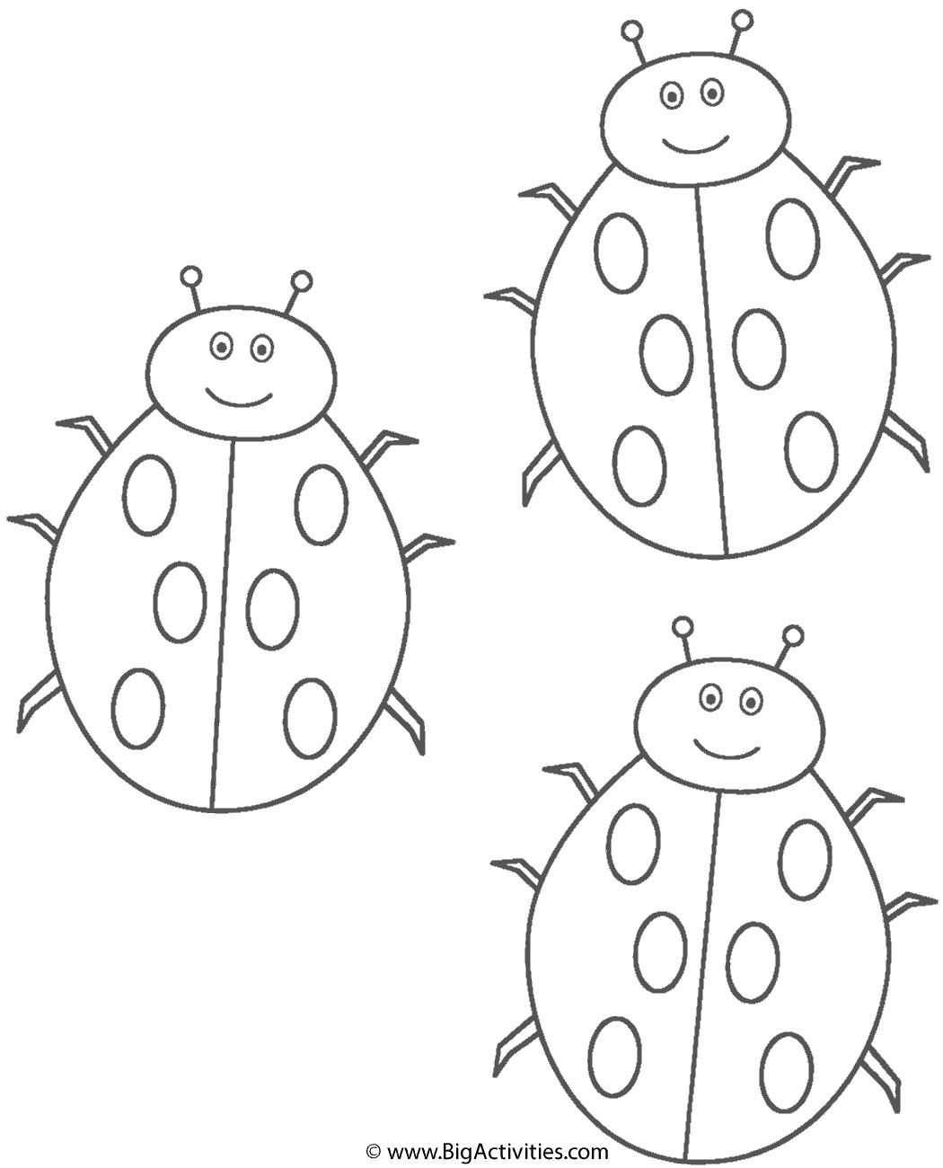 Three ladybugs