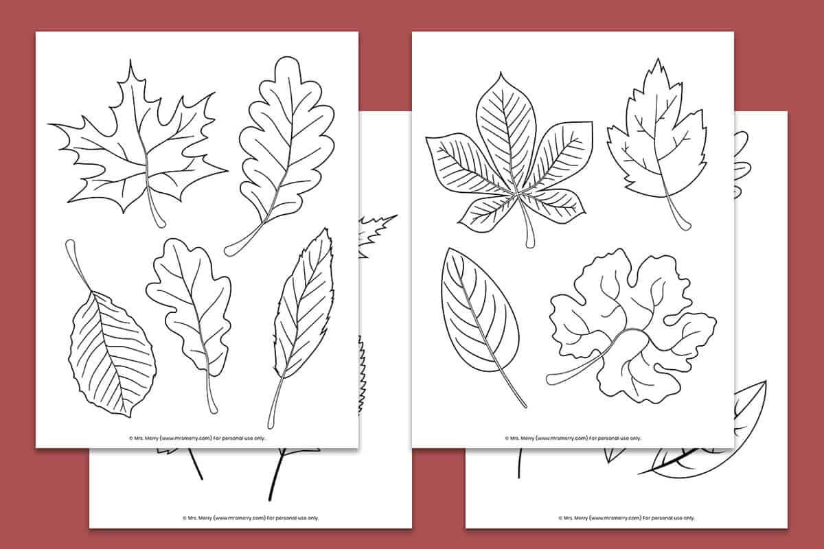 Free printable fall leaves coloring pages mrs merry