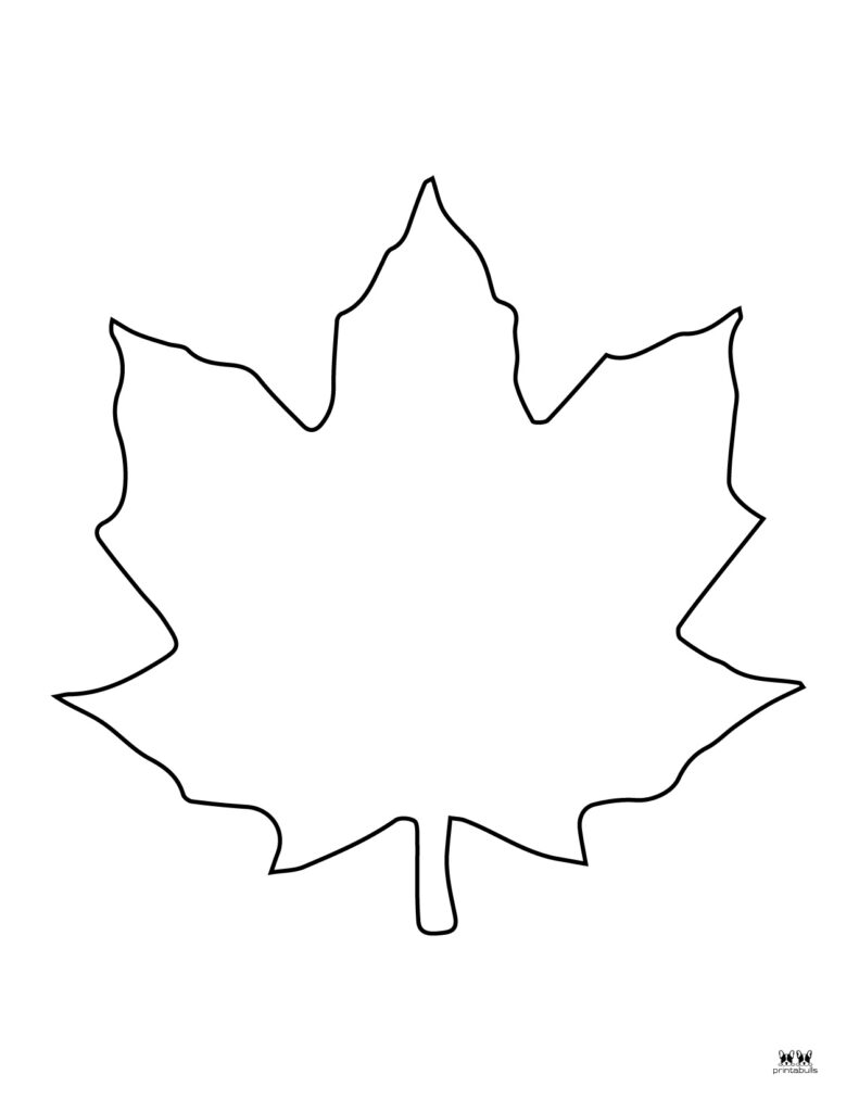 Leaf outlines templates coloring pages