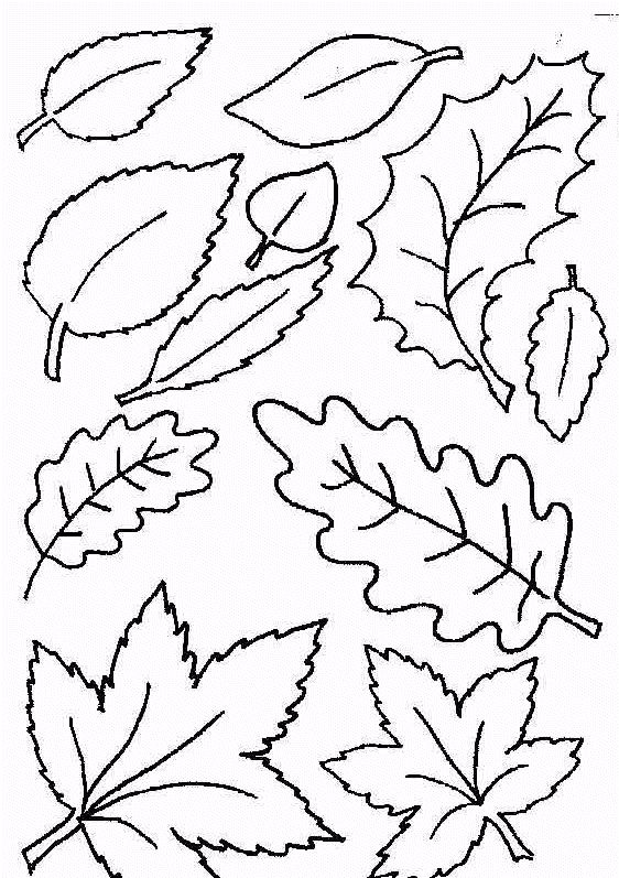 Coloring page