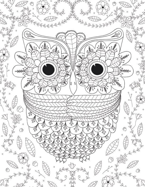 Big eyed owl adult coloring page