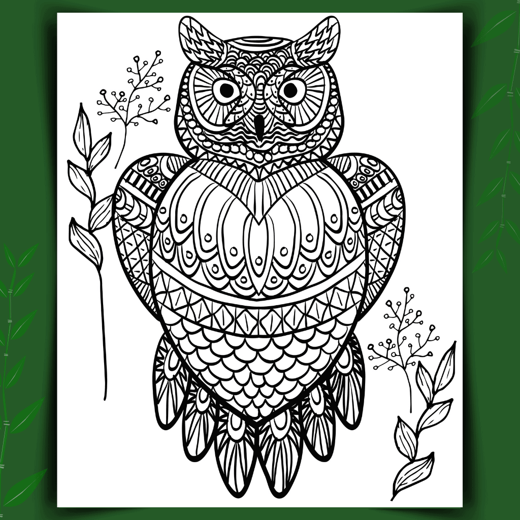 Owl coloring pages