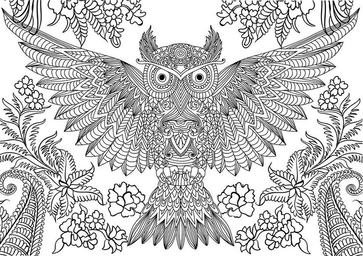 Difficult owl coloring page for adults owl coloring pages animal coloring pages detailed coloring pages