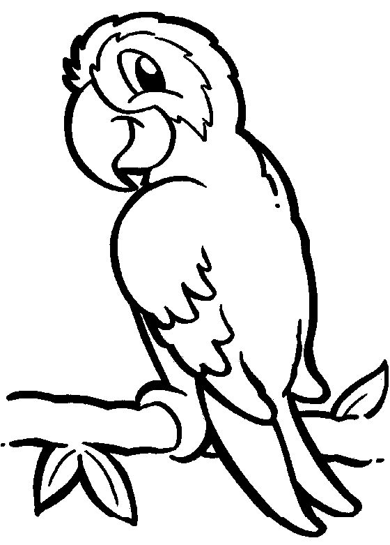 Coloring pages parrot coloring pages for kids