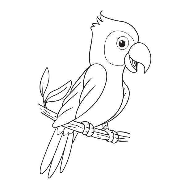 Coloring pages or books for kids cute parrot cartoon illustration stock illustration