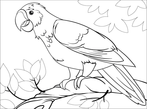 Parrot coloring page free printable coloring pages